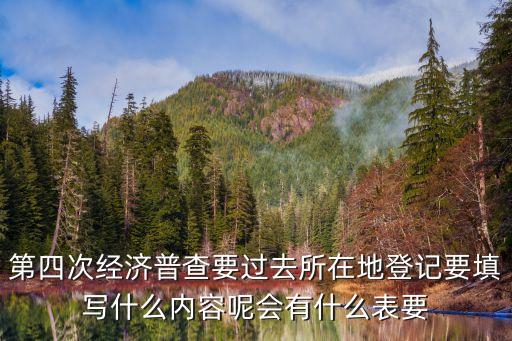第四次經濟普查要過去所在地登記要填寫什么內容呢會有什么表要