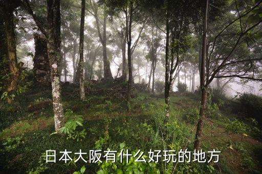 日本成片,日本東京著名地標(biāo)鬼怪電影公映