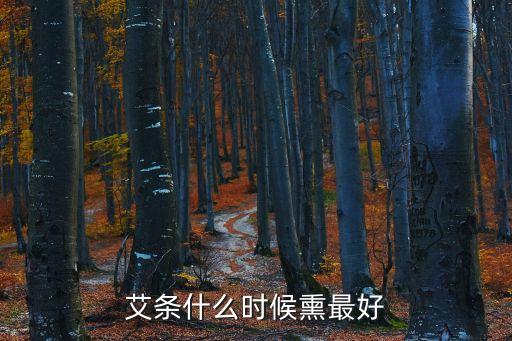 艾條什么時候熏最好