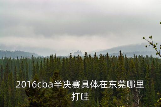 2016cba半決賽具體在東莞哪里打哇