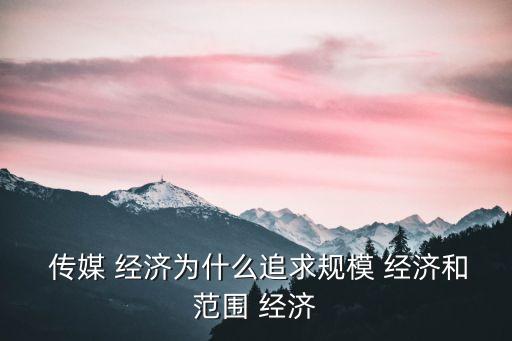  傳媒 經濟為什么追求規模 經濟和范圍 經濟