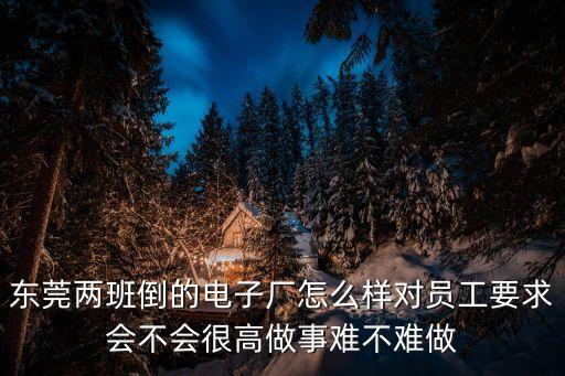 東莞兩班倒的電子廠怎么樣對員工要求會不會很高做事難不難做