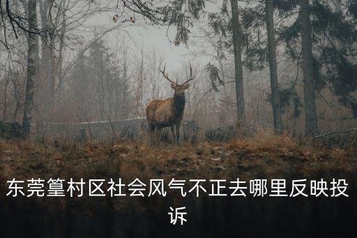 東莞篁村方樹輝書記，東莞新科居住證能在篁村派出所宏遠警務室辦理嗎