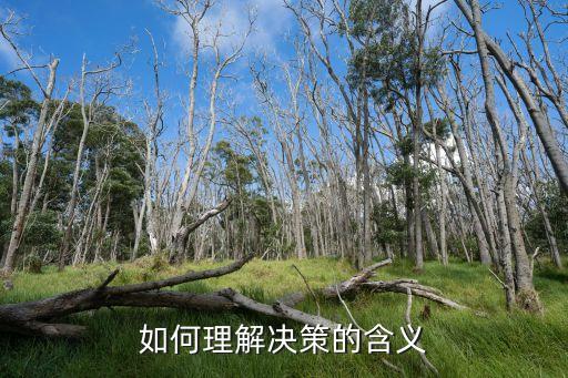 決策是什么意思，如何理解決策的含義