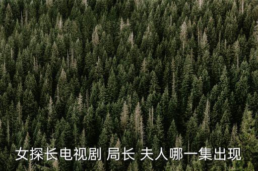 女探長電視劇 局長 夫人哪一集出現(xiàn)