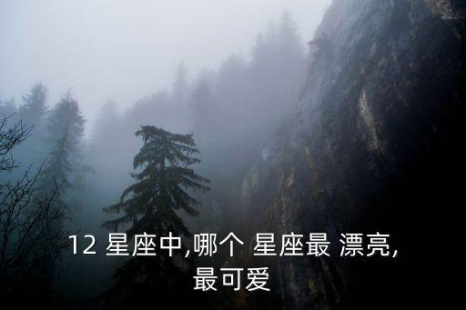 12 星座中,哪個(gè) 星座最 漂亮,最可愛