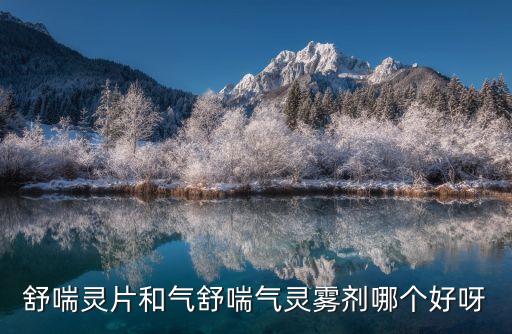 舒喘靈氣霧劑，舒喘靈片和氣舒喘氣靈霧劑哪個好呀
