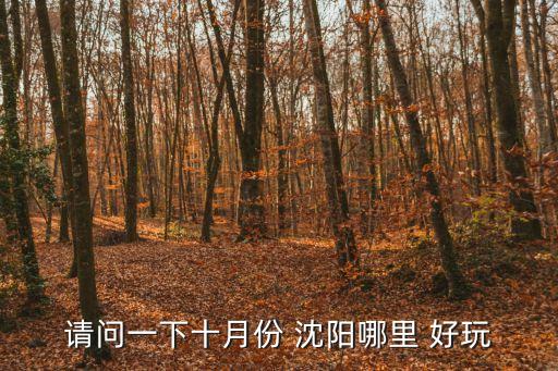 沈陽(yáng)哪里好玩,從高空俯瞰沈陽(yáng)城市