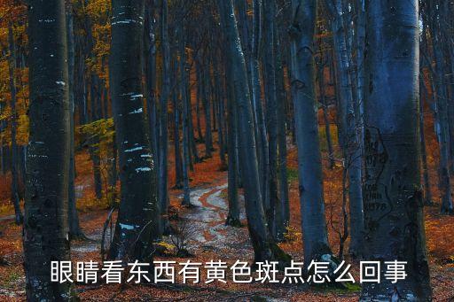  眼睛看東西有黃色斑點(diǎn)怎么回事