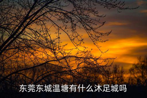 東莞東城溫塘有什么沐足城嗎