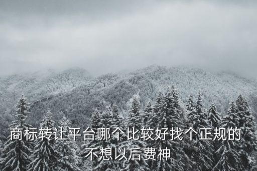 商標(biāo)轉(zhuǎn)讓平臺(tái)哪個(gè)比較好找個(gè)正規(guī)的 不想以后費(fèi)神