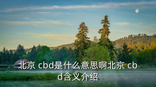 cbd是什么意思,北京商務(wù)區(qū)有哪些商機(jī)?