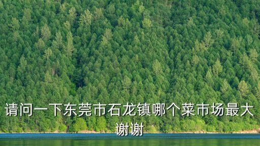 東莞石龍沙角菜市場，請問一下東莞市石龍鎮哪個菜市場最大謝謝