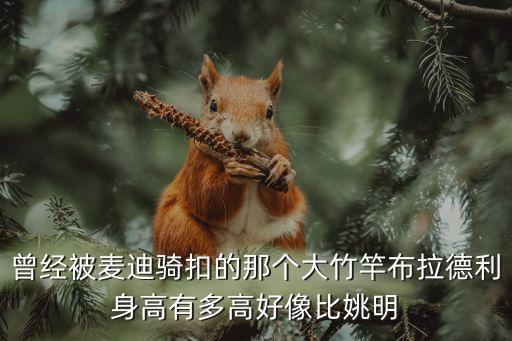 曾經被麥迪騎扣的那個大竹竿布拉德利身高有多高好像比姚明