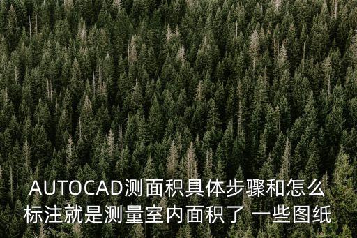 AUTOCAD測面積具體步驟和怎么標注就是測量室內面積了 一些圖紙