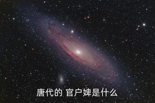 官戶,官僚奴婢和官奴婢都是唐代最低微的階層