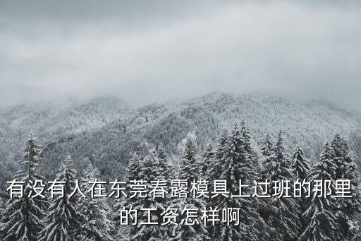 東莞萬江春露廠，誰知道臺和電子企業(yè)怎么樣