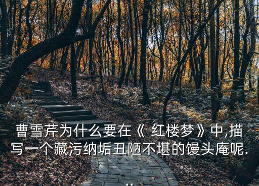曹雪芹為什么要在《 紅樓夢》中,描寫一個藏污納垢丑陋不堪的饅頭庵呢...
