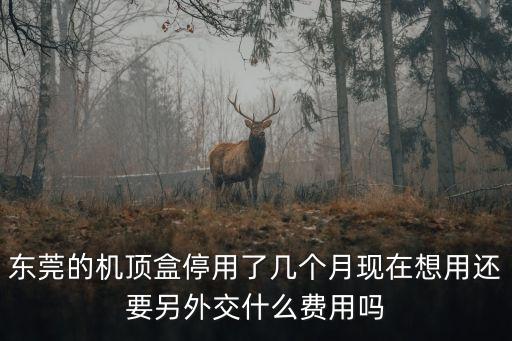 東莞機頂盒停用多久可以用，東莞的機頂盒停用了幾個月現在想用還要另外交什么費用嗎