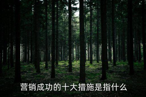 營(yíng)銷成功的十大措施是指什么