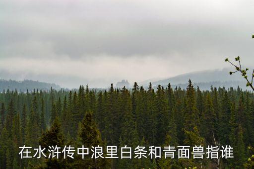 在水滸傳中浪里白條和青面獸指誰