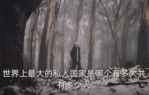 世界上最大的私人國家是哪個有多大共有多少人