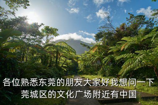 各位熟悉東莞的朋友大家好我想問一下莞城區的文化廣場附近有中國