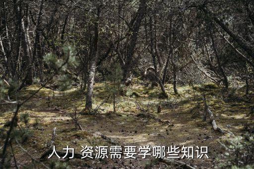 人力資源學習,人力資源管理專業主要實踐教學環節包括課程實踐