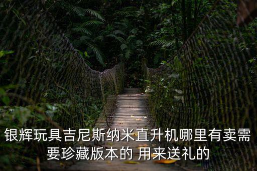 銀輝玩具吉尼斯納米直升機哪里有賣需要珍藏版本的 用來送禮的