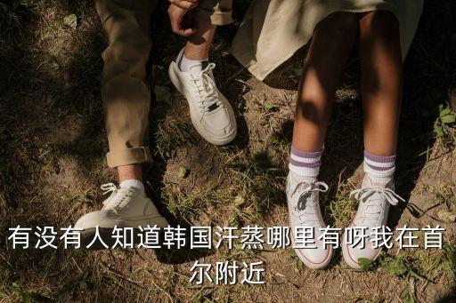 韓國汗蒸，韓國汗蒸的好處與壞處