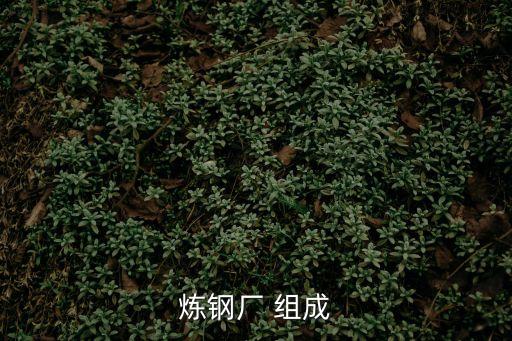 煉鋼廠，山東煉鋼廠有哪些