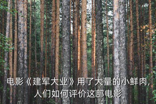 電影《建軍大業》用了大量的小鮮肉,人們如何評價這部電影