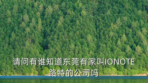 請問有誰知道東莞有家叫IONOTE路特的公司嗎