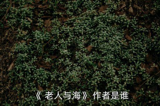 老人與海的作者,美國作家海明威代表作《老人大海》系列
