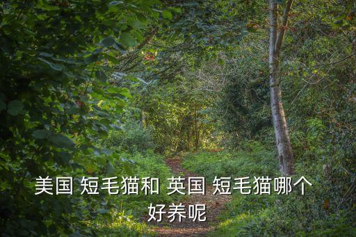 美國 短毛貓和 英國 短毛貓哪個 好養呢