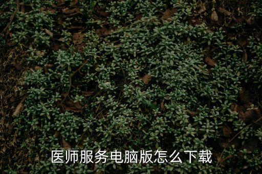 醫師服務電腦版怎么下載