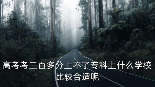 高考考三百多分上不了專科上什么學校比較合適呢
