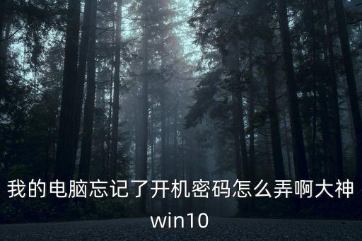 我的電腦忘記了開機密碼怎么弄啊大神win10