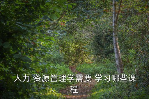  人力 資源管理學需要 學習哪些課程