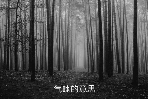 氣魄拼音,中國拼音:nn氣魄!