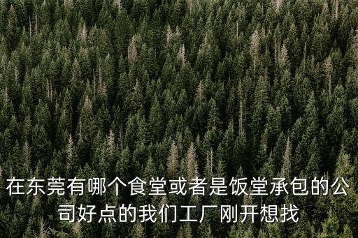在東莞有哪個(gè)食堂或者是飯?zhí)贸邪墓竞命c(diǎn)的我們工廠剛開想找