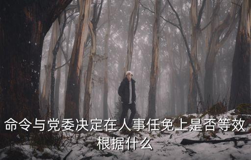 命令與黨委決定在人事任免上是否等效根據(jù)什么