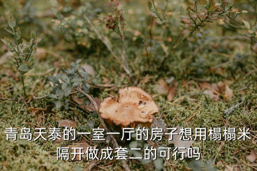 東莞豐泰旗山綠洲二居室，豐泰旗山綠洲5棟戶型如何裝修
