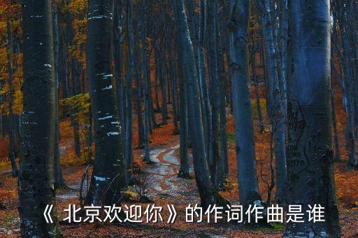 《 北京歡迎你》的作詞作曲是誰