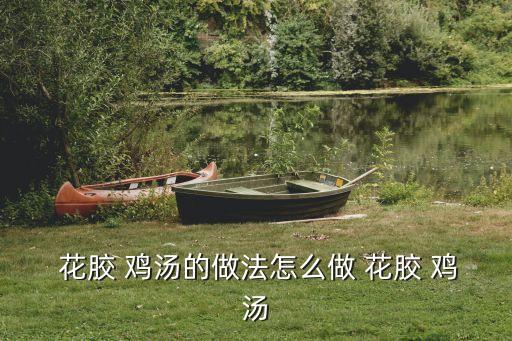  花膠 雞湯的做法怎么做 花膠 雞湯