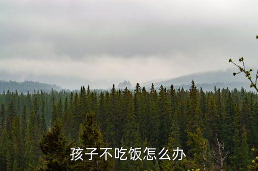 孩子不吃飯怎么辦