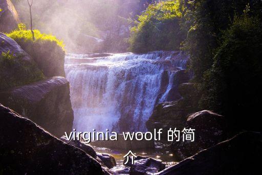 virginia woolf 的簡(jiǎn)介