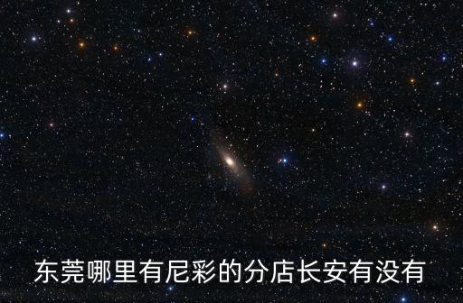 東莞哪里有尼彩的分店長安有沒有