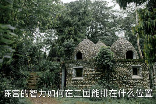 陳宮的智力如何在三國(guó)能排在什么位置