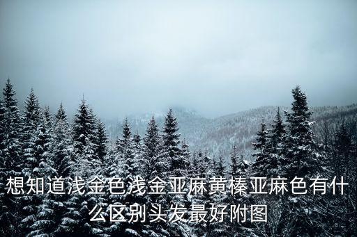 想知道淺金色淺金亞麻黃榛亞麻色有什么區別頭發最好附圖